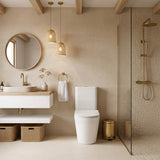 Tornado Silent High End Back To Wall Ceramic Toilet Suite 665x360x845mm - Gloss White