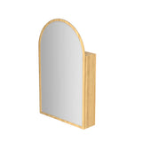 Bianco 550x900mm Arch Plywood Wall Hung Shaving Cabinet Variant Colour Available
