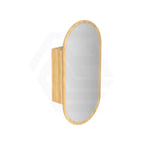 Metro 450x900mm Oval Plywood Wall Hung Shaving Cabinet Variant Colour Available