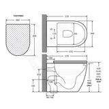 Fienza Koko Rimless Flush Wall-Faced Pan For Bathroom Variant Colour Available