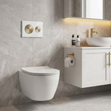 Kohler SKIM™ Pneumatic Glass Flush Plate Round Button Multi-Colour for In-wall Concealed Cistern