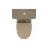 650x395x830mm Kohler Grande Ceramic Rimless Dual Flush Back to Wall Toilet Suite Cashmere