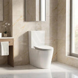 Kohler Grande Rimless Dual Flush Back to Wall Toilet Suite 680x370x790mm - Gloss White