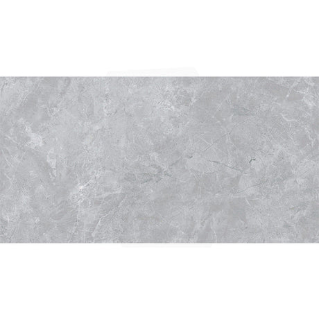 Ceramic Orobico Grey Polished Stone Look 300x600mm Tile