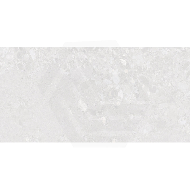 Forest Terrazzo Light Grey Matt Terrazzo Look 300/600/1200mm Tile