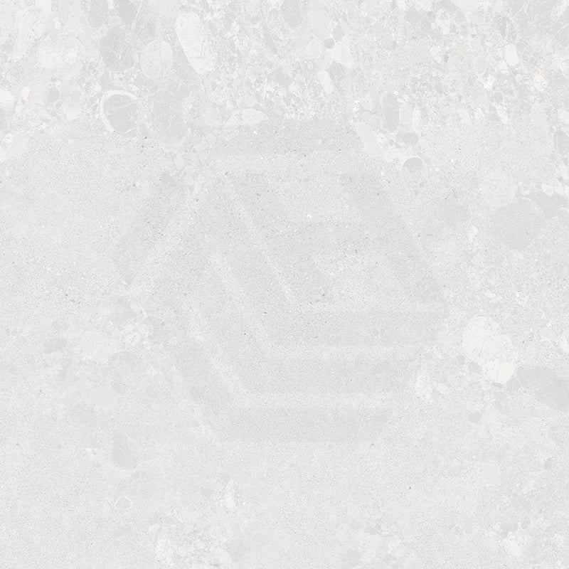 Forest Terrazzo Light Grey Matt Terrazzo Look 300/600/1200mm Tile