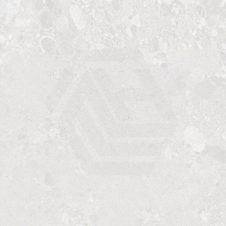 Forest Terrazzo Light Grey Matt Terrazzo Look 300/600/1200mm Tile