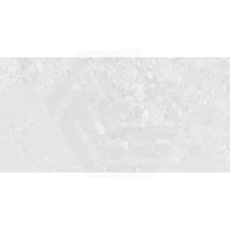 Forest Terrazzo Light Grey Matt Terrazzo Look 300/600/1200mm Tile