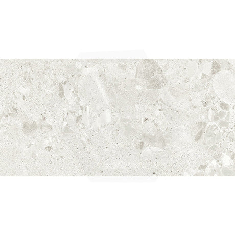Forest Terrazzo & Stone Look Beige Matt Porcelain Tile 300/600mm