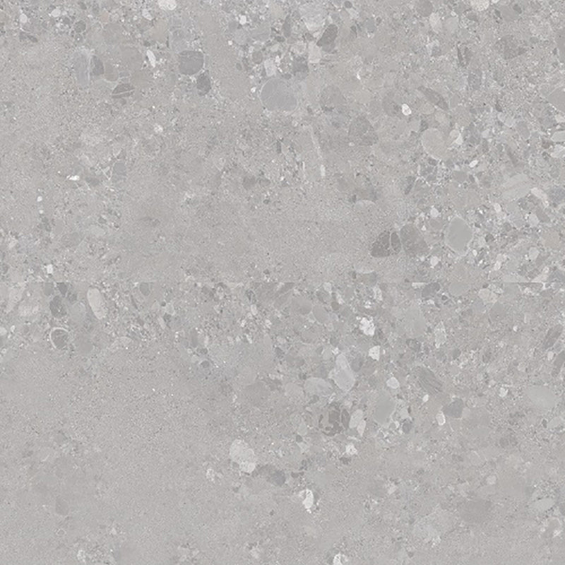 Forest Terrazzo Grey Matt Terrazzo Look 300/600/1200mm Tile