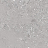 Forest Terrazzo Grey Matt Terrazzo Look 300/600/1200mm Tile