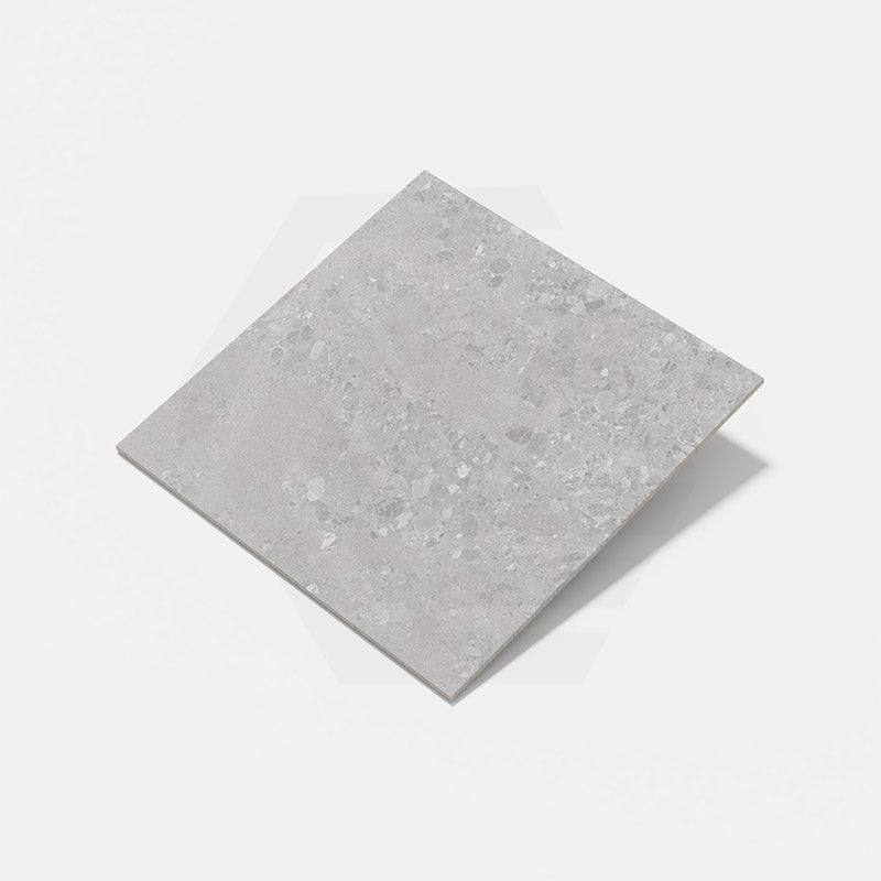Forest Terrazzo Grey Matt Terrazzo Look 300/600/1200mm Tile