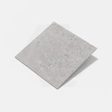 Forest Terrazzo Grey Matt Terrazzo Look 300/600/1200mm Tile