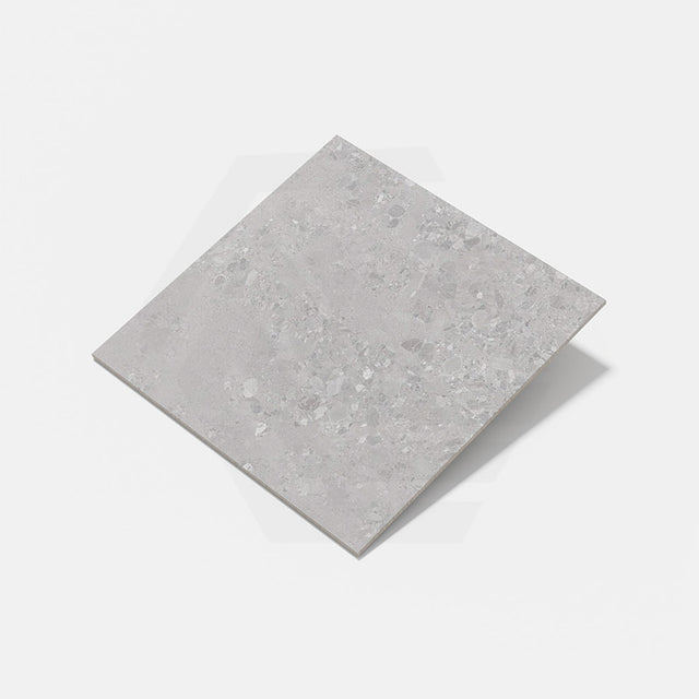 Forest Terrazzo Grey Matt Terrazzo Look 300/600/1200mm Tile