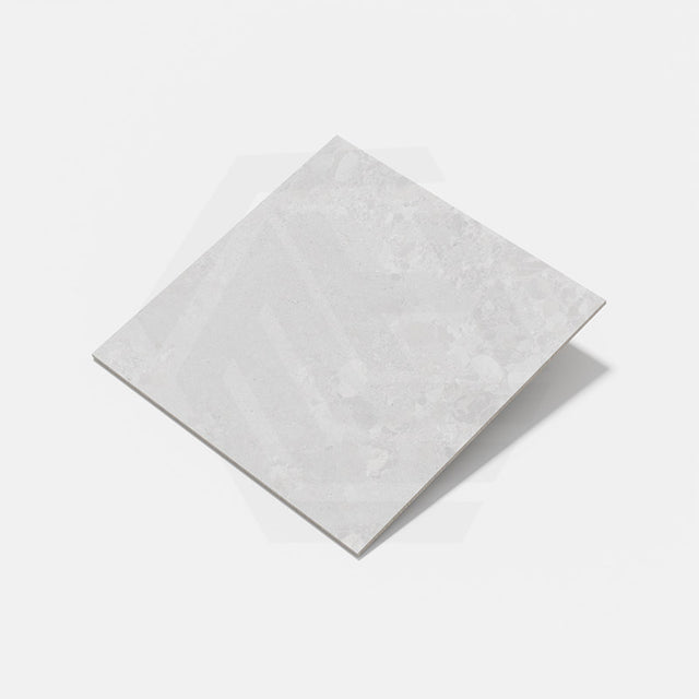 Forest Terrazzo Light Grey Matt Terrazzo Look 300/600/1200mm Tile