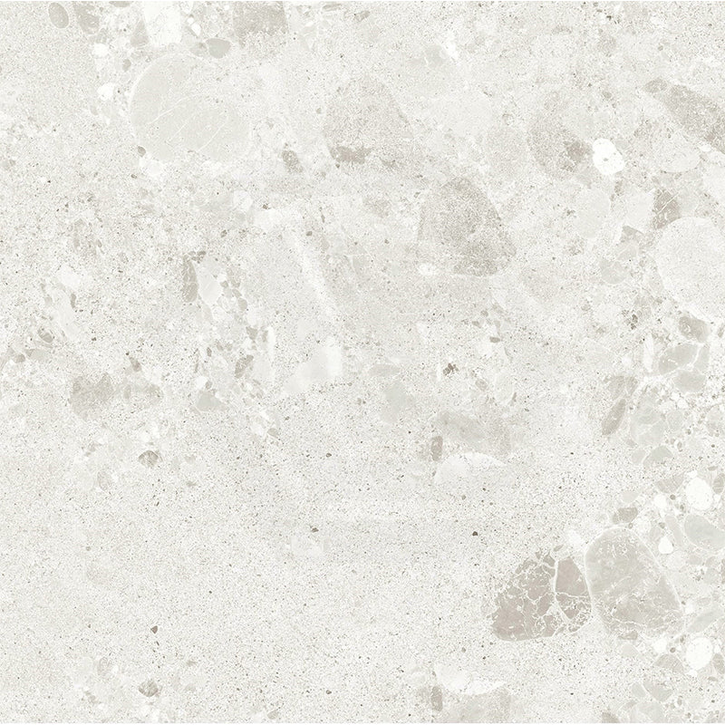 Forest Terrazzo & Stone Look Beige Matt Porcelain Tile 300/600mm