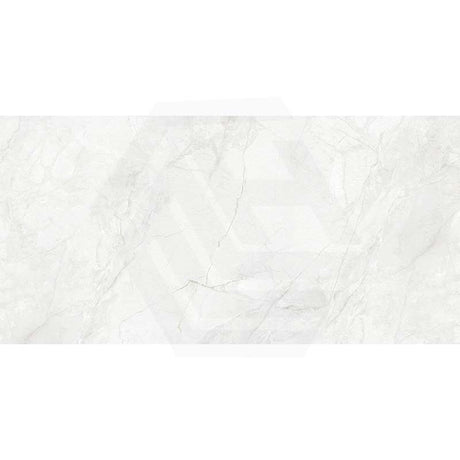 Belga White Honed Marble Look 300/600/1200mm Tile