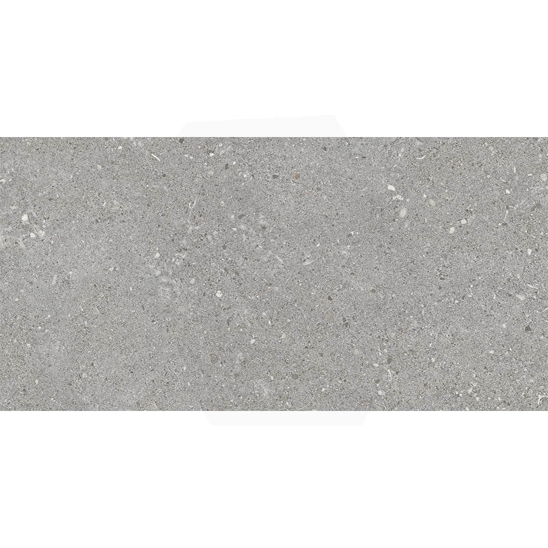 Terrazzo Grange Mid Grey Matt In & Out 300/600mm Tile