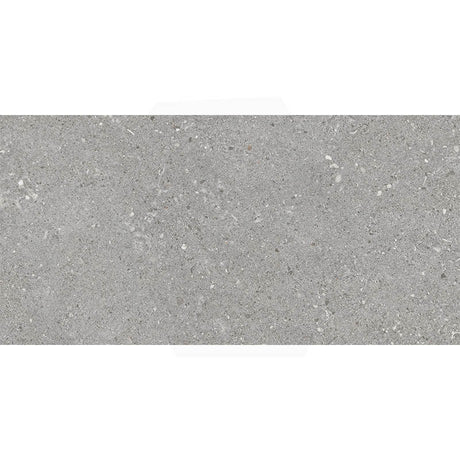 Terrazzo Grange Mid Grey Matt In & Out 300/600mm Tile