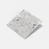 Rock Salt Light Grey Matt Terrazzo Look 300/600mm Tile