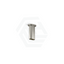 Kohler Statement™ 127/254Mm Dual Function Brushed Nickel Ceiling Mount Rainhead Arm 127Mm Shower