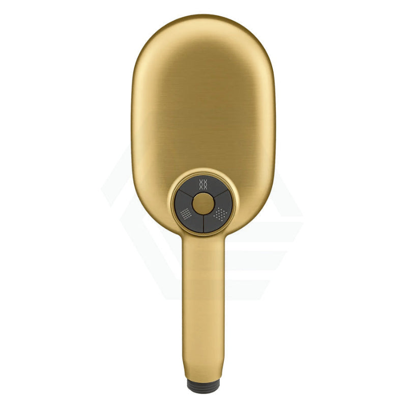 Kohler Statement Oval Brushed Brass 3 Functions Handheld Shower Head Only Showers