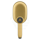 Kohler Statement Oval Brushed Brass 3 Functions Handheld Shower Head Only Showers