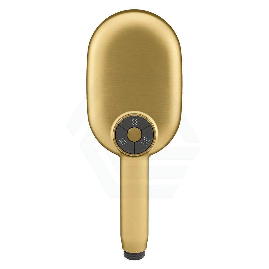 Kohler Statement Oval Brushed Brass 3 Functions Handheld Shower Head Only Showers