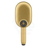 Kohler Statement Oval Brushed Brass 3 Functions Handheld Shower Head Only Showers