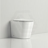 Lukka Acadia Tornado Rimless Wall Faced Toilet Pan Only 545x360x410mm - Various Colours
