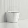 Lukka Acadia Tornado Rimless Wall Faced Toilet Pan Only 545x360x410mm - Various Colours