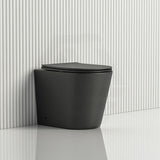 Lukka Acadia Tornado Rimless Wall Faced Toilet Pan Only 545x360x410mm - Various Colours