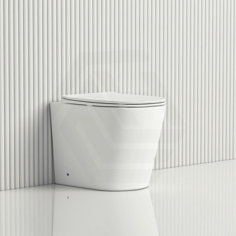 Lukka Acadia Tornado Rimless Wall Faced Toilet Pan Only 545x360x410mm - Various Colours