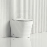 Lukka Acadia Tornado Rimless Wall Faced Toilet Pan Only 545x360x410mm - Various Colours