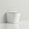 Lukka Acadia Tornado Rimless Wall Faced Toilet Pan Only 545x360x410mm - Various Colours