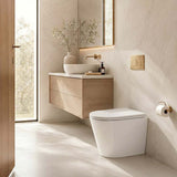 Lukka Acadia Tornado Rimless Wall Faced Toilet Pan Only 545x360x410mm - Various Colours