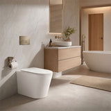 Lukka Acadia Tornado Rimless Wall Faced Toilet Pan Only 545x360x410mm - Various Colours