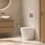 Lukka Acadia Tornado Rimless Wall Faced Toilet Pan Only 545x360x410mm - Various Colours