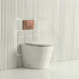 Lukka Agena Rimless Wall Faced Toilet with Sigma8 Inwall Cistern & Sigma41 Buttons - Gloss White