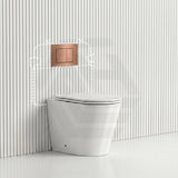 Lukka Agena Rimless Wall Faced Toilet with R&T Inwall Cistern & Buttons - Gloss White
