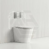 Lukka Agena Rimless Wall Faced Toilet with R&T Inwall Cistern & Buttons - Gloss White