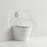 Lukka Agena Rimless Wall Faced Toilet with R&T Inwall Cistern & Buttons - Gloss White