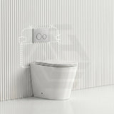 Lukka Agena Rimless Wall Faced Toilet with R&T Inwall Cistern & Buttons - Gloss White