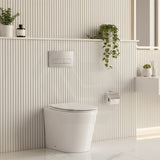 Lukka Agena Rimless Wall Faced Toilet Pan Only Nano Glaze 560x360x420mm - Gloss White