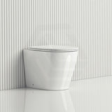Lukka Agena Rimless Wall Faced Toilet Pan Only Self-Clean Glaze 540x365x400mm - Gloss White