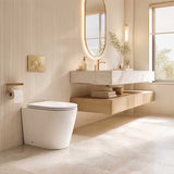 Lukka Agena Rimless Wall Faced Toilet Pan Only Self-Clean Glaze 540x365x400mm - Gloss White