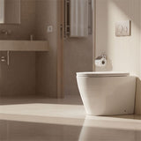 Lukka Agena Rimless Wall Faced Toilet Pan Only Self-Clean Glaze 540x365x400mm - Gloss White