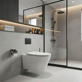 Lukka Agena Tornado Rimless Flush Wall Hung Toilet Pan Only 520x360x350mm - Various Colours