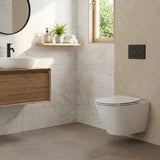 Lukka Agena Tornado Rimless Flush Wall Hung Toilet Pan Only 520x360x350mm - Various Colours