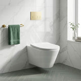 Lukka Agena Tornado Rimless Flush Wall Hung Toilet Pan Only 520x360x350mm - Various Colours